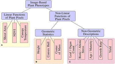 Deep Plant Phenomics: A Deep Learning Platform for Complex Plant Phenotyping Tasks